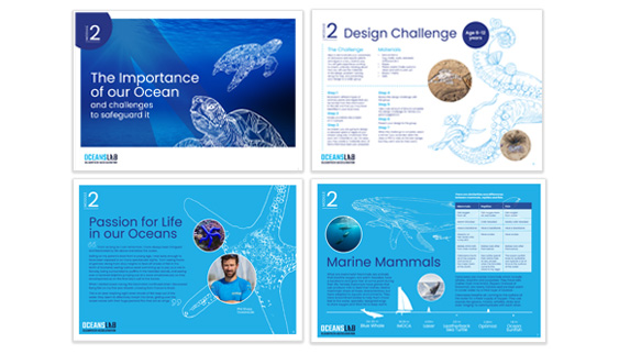 Carbon Fibre Circular Alliance designs