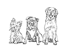 Digital sketch of three dogs